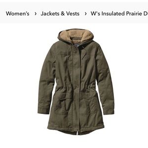 Patagonia Parka
